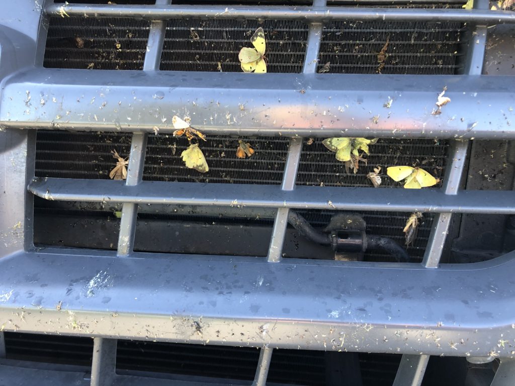 Yellow butterflies on front of white van grill